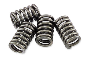 EBC CSK31 CSK Clutch Spring Kit