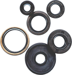 Winderosa 822169 Oil Seal Kit