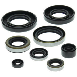 Vertex 822159 Oil Seal Kit