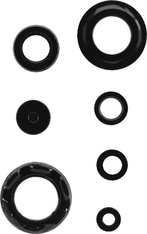 K&S Technologies 50-5003 Engine Oil Seal Kit